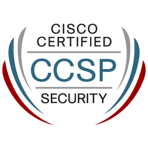 ccsp_security_large